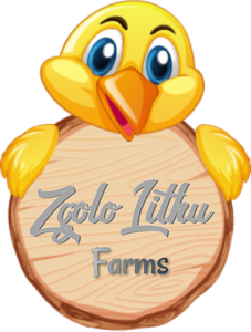 Zgolo Lithu Farms